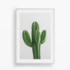 CACTUS-2.jpg