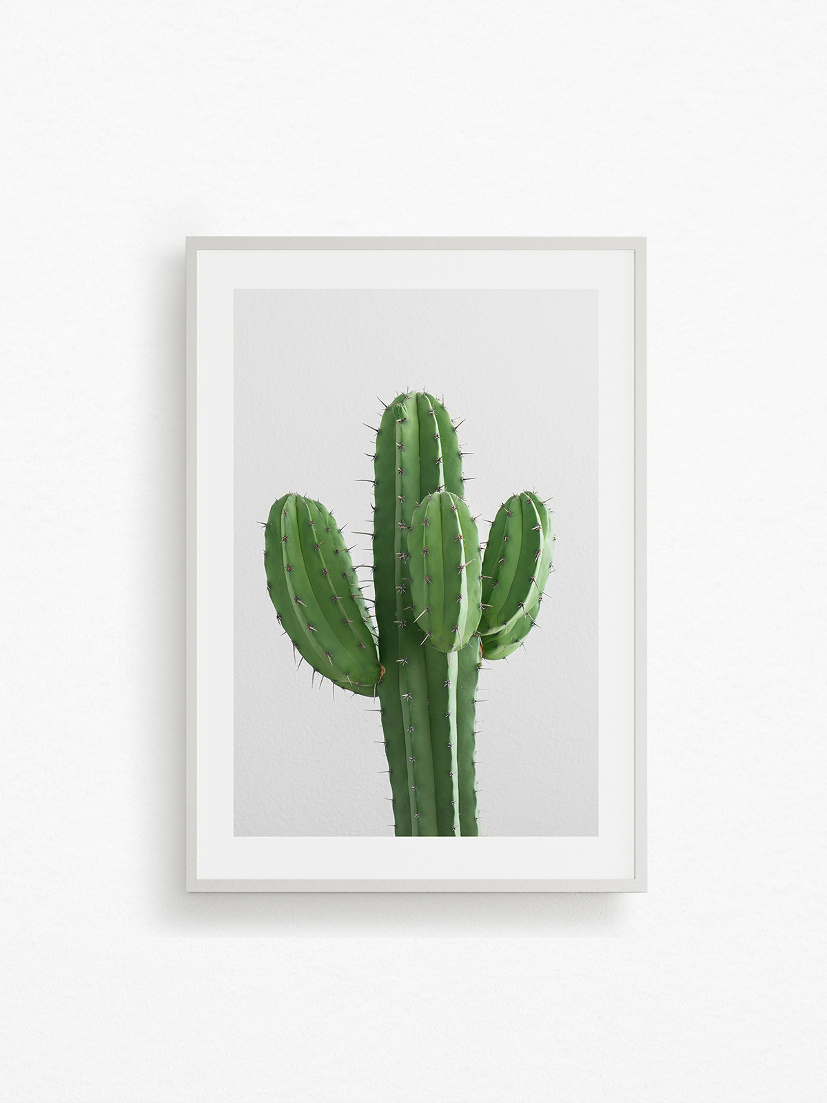 CACTUS-2.jpg